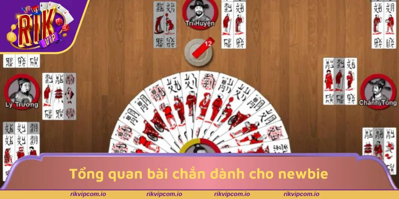 Tổng quan bài chắn dành cho người mới bắt đầu